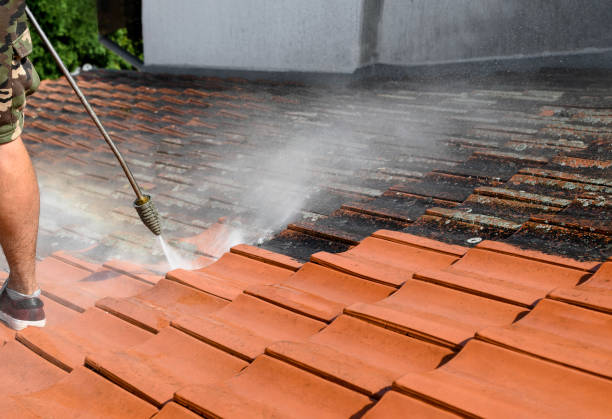 Local Pressure Washing Services in Brookside, AL