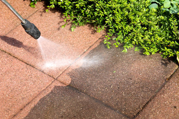 Best Roof Pressure Washing  in Brookside, AL