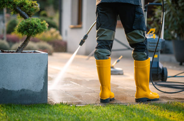 Best Pressure Washing Near Me  in Brookside, AL